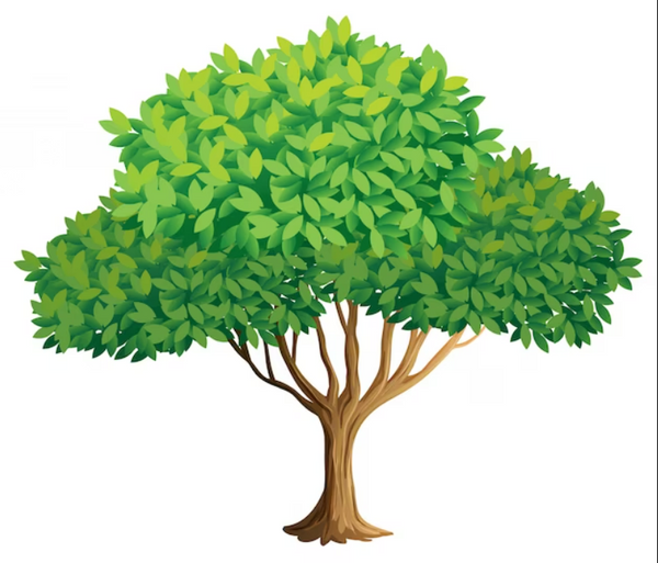 Plant a Tree Of Peace